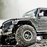 用户3539939347087的个人资料头像