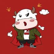 风不会停息39的个人资料头像