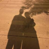 小熊的修狗头像