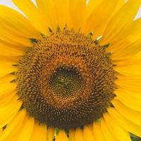 用户1574273028151头像