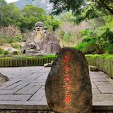 ChatGPT9头像