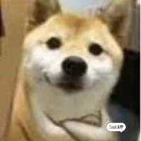 布迦迪威虫头像