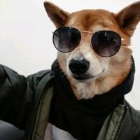 用户4421882015386头像