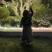 来一瓶82年LF的个人资料头像
