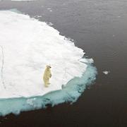 Echo201的个人资料头像