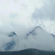 wzzc的个人资料头像