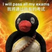 Ely期末发疯版的个人资料头像