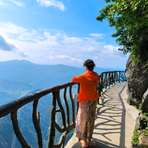 杨杨爱旅游头像