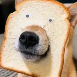 用户7427469942712头像