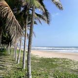 爱晨练的川哥头像