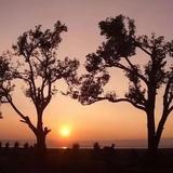 用户4030046887249头像