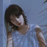 郑能量708头像