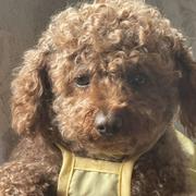 大头442的个人资料头像