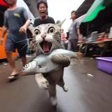 常熟老杨的地产圈头像