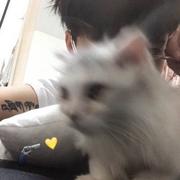 Hello378的个人资料头像