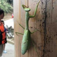 灵巧生活家WE头像