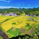 2021加油295头像