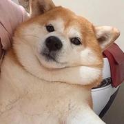 Tang431的个人资料头像