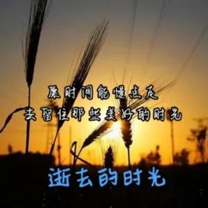 时光历史头像