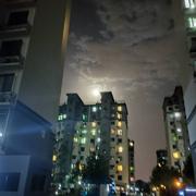 说话要算话的个人资料头像