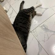 EmityJ的个人资料头像