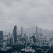 Tomcy的个人资料头像