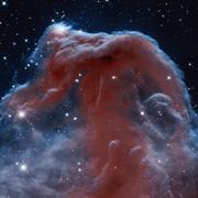 默金先生的个人资料头像