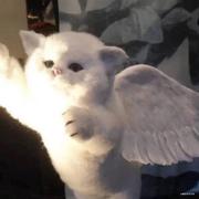 北木的个人资料头像