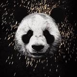 小陈的摆拳头像