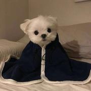 甜豆汁儿的个人资料头像