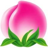 杜三897头像