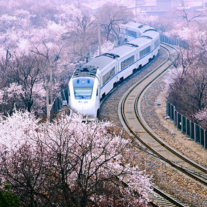 天马座音乐爱好头像