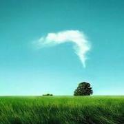 UA的个人资料头像