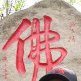 高冷小红花r1n头像