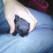 卢章斐的个人资料头像