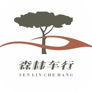 泸州市森林二手车头像