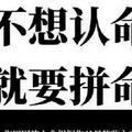 用户6349331493649头像