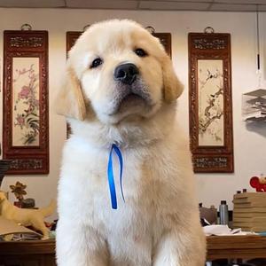 流行音乐分享ME头像