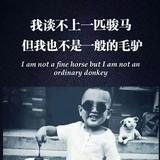 小义头像