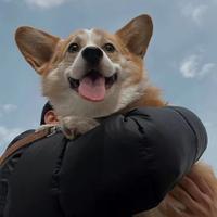 用户4587574388690头像