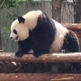 风烛5w7E头像