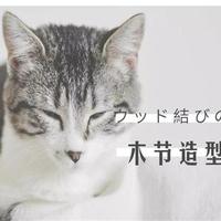 爱上自己优选好物头像