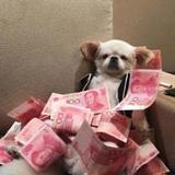楠笙925头像