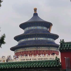 幸运海浪27头像