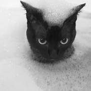 10K的个人资料头像