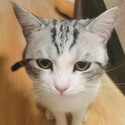 用户969298708106的个人资料头像