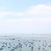 梦想是躺平的个人资料头像