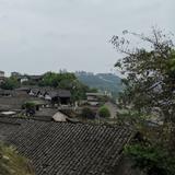 一心一意原野xL5头像