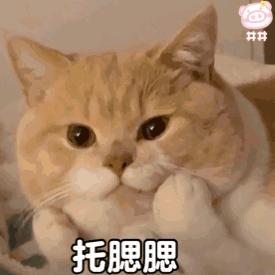 正经人谁上班头像