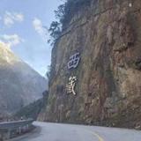 直率橙子Me头像